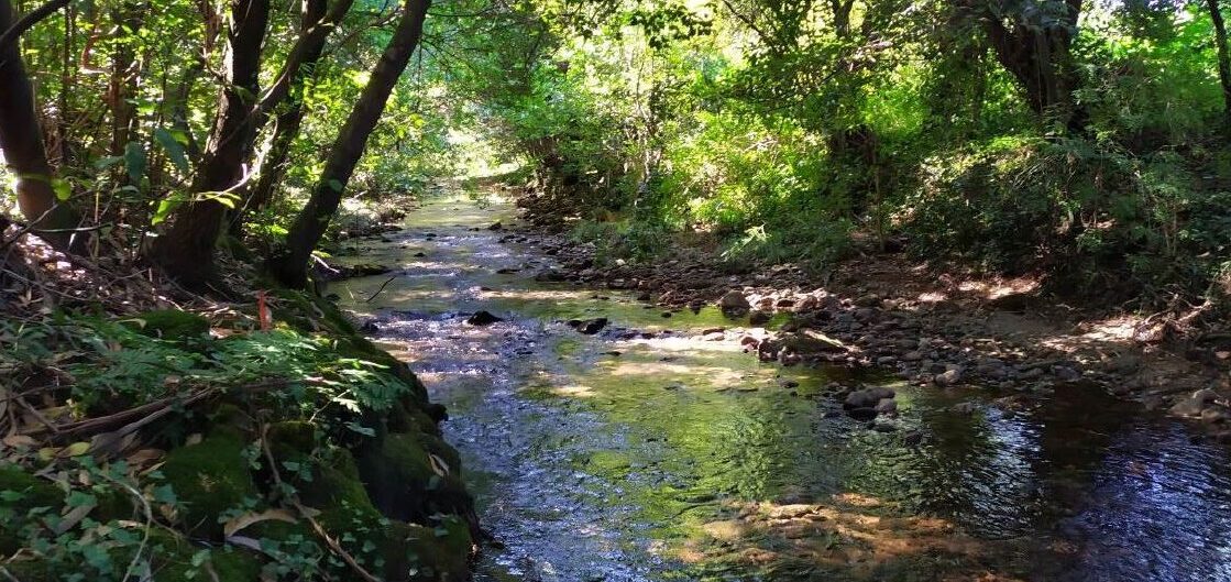 Estudio Hidrológico Hidráulico del río Coroño, concello de Boiro